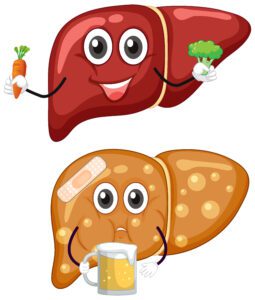Powerful Liver Detox Habits
