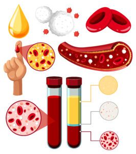 Hemoglobin – Oxygen Carrier